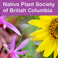 Link to the Native Plant Society of BC by Summerland Ornamental Gardens