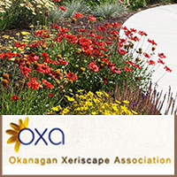 Link to the Okanagan Xeriscape Association by Summerland Ornamental Gardens